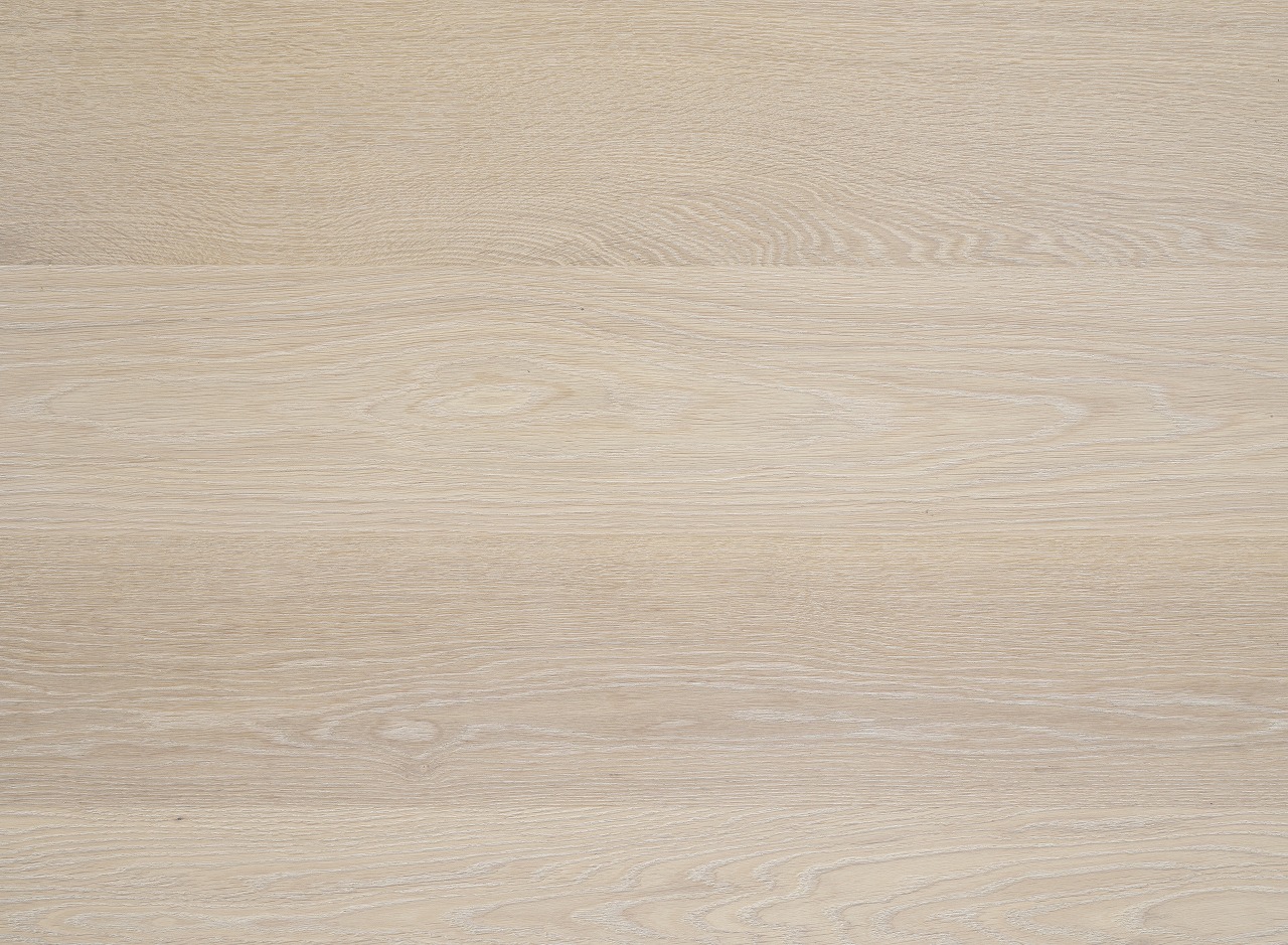 ノルディック・フロスト